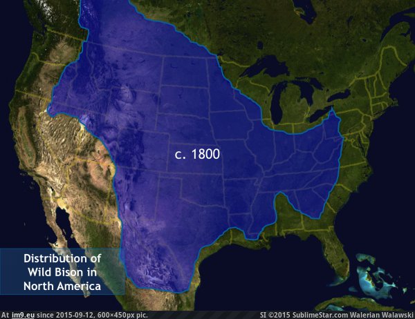 600px x 462px - Pic. #American #Historical #Bison #Range #600x450, 56608B â€“ My r/MAPS favs