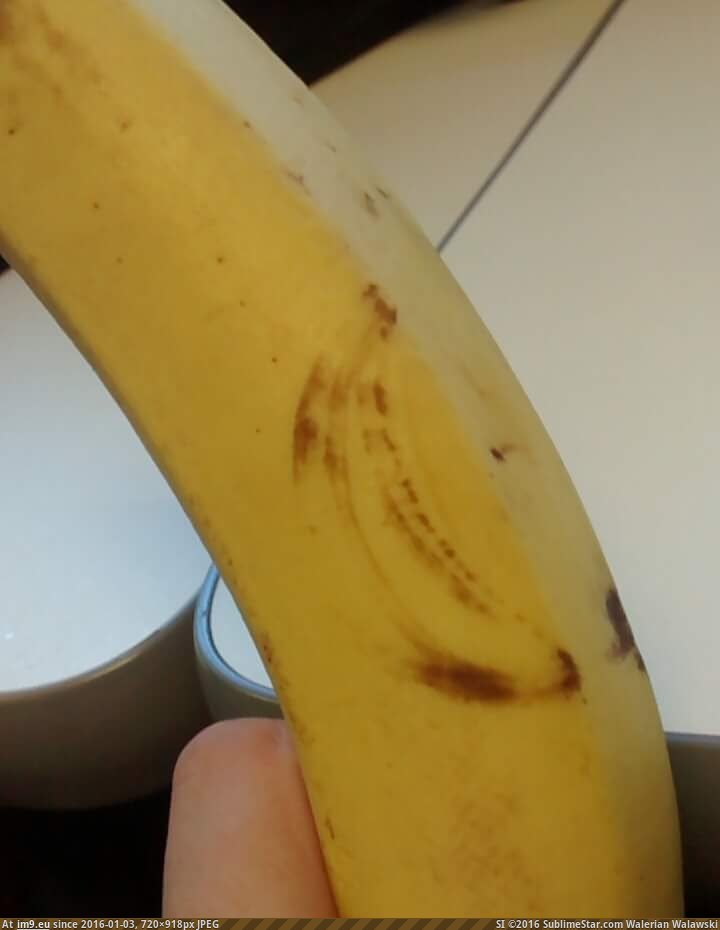 [Mildlyinteresting] Banana on a banana (in My r/MILDLYINTERESTING favs)