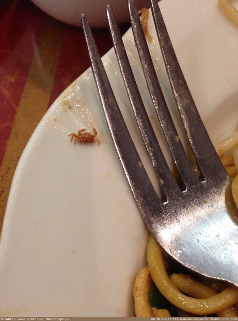 http://p.im9.eu/mildlyinteresting-i-found-this-really-tiny-crab-in-my-noodles.jpg