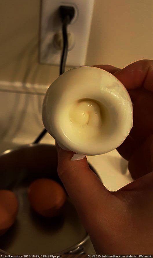 [Mildlyinteresting] There is an ass in my boiled egg. (in My r/MILDLYINTERESTING favs)