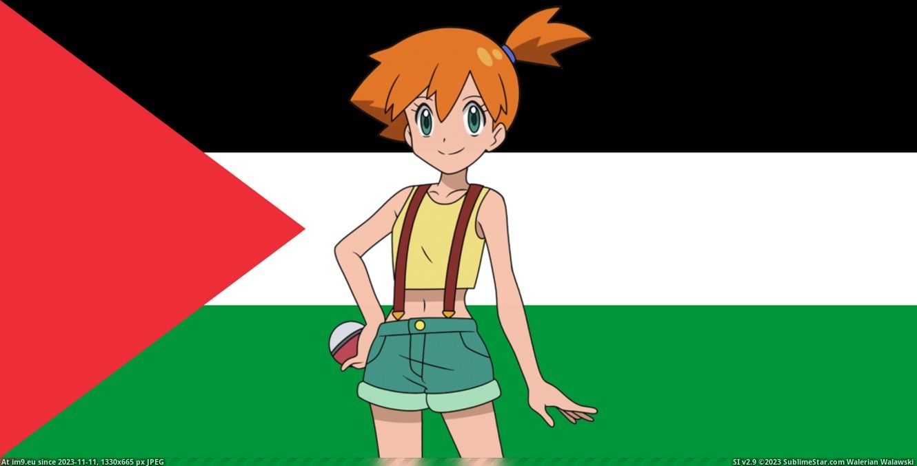 Pic. #Anime #Antizionist #Waifu #Flag, 49558B – Your Waifu Supports  Palestine