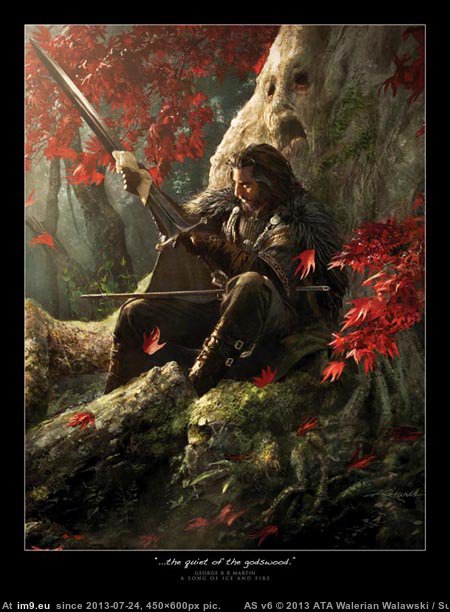 Ned Stark (2) (in Game of Thrones ART (A Song of Ice and Fire))