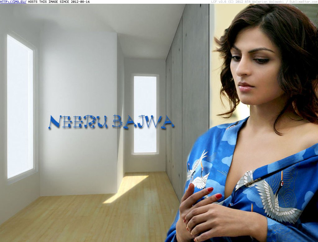 Neeru Bajwa Wallpapers 22 (in Hot Indian Actress Neeru Bajwa)