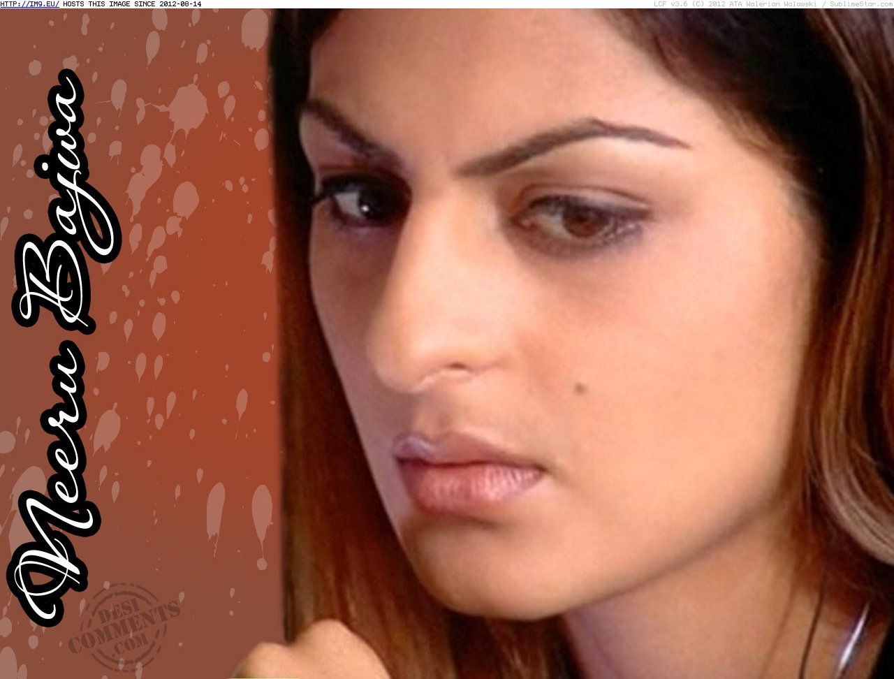 Neeru Bajwa Wallpapers 26 (in Hot Indian Actress Neeru Bajwa)
