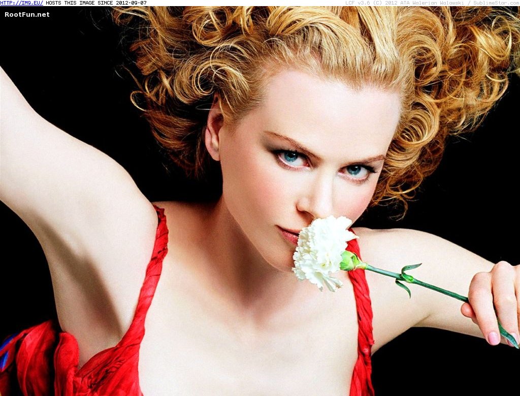 Nicole Kidman wallpaper 10 (in Nicole Kidman photos and wallpapers)