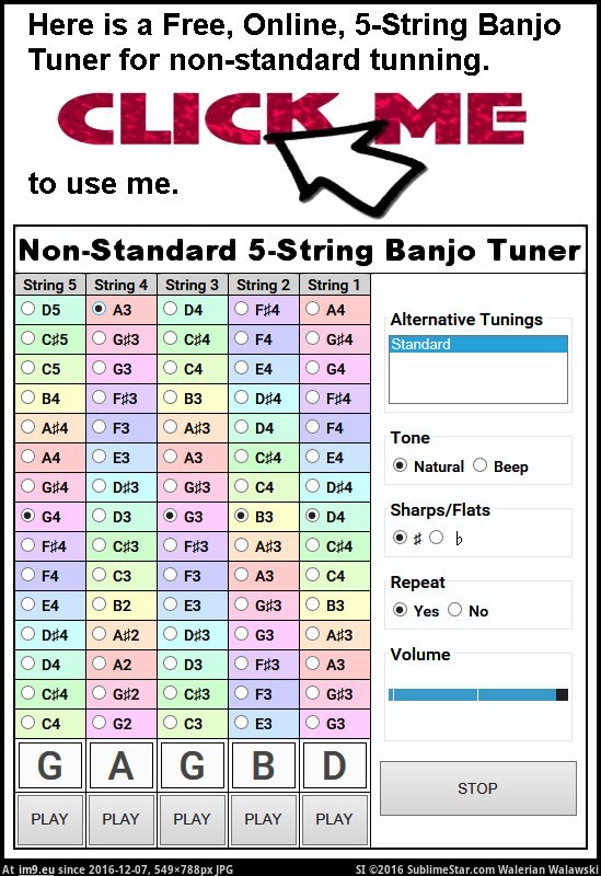 Non-standard 5-String Banjo Tuner (in WestmanJams)