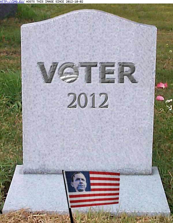 Obama Voter 2012 (in Obama the failure)