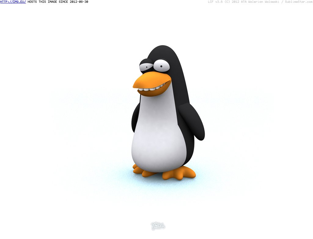 Penguin Cartoon Wallpaper