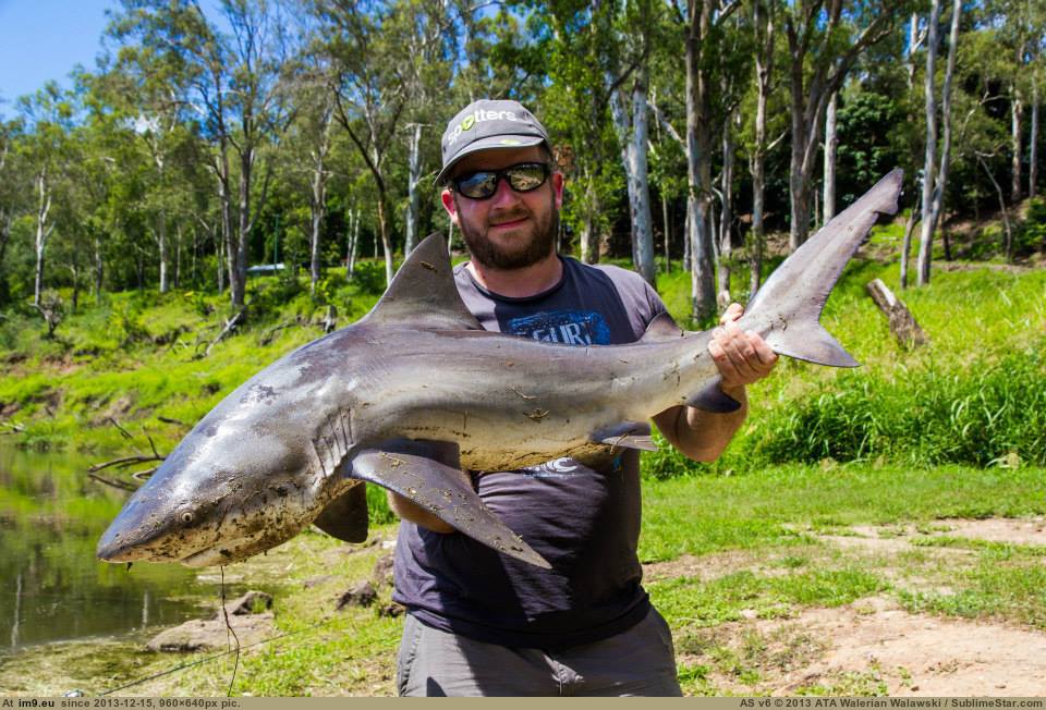 Buddy caught this today. What is it?!? : r/Fishing