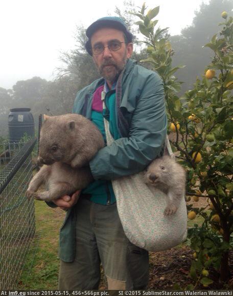 [Pics] Wombats delivery. (in My r/PICS favs)