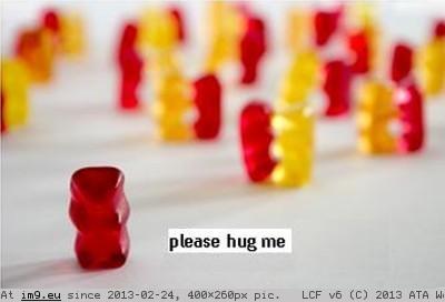 Please Hug Me (funny meme) (in Funny pics and meme mix)