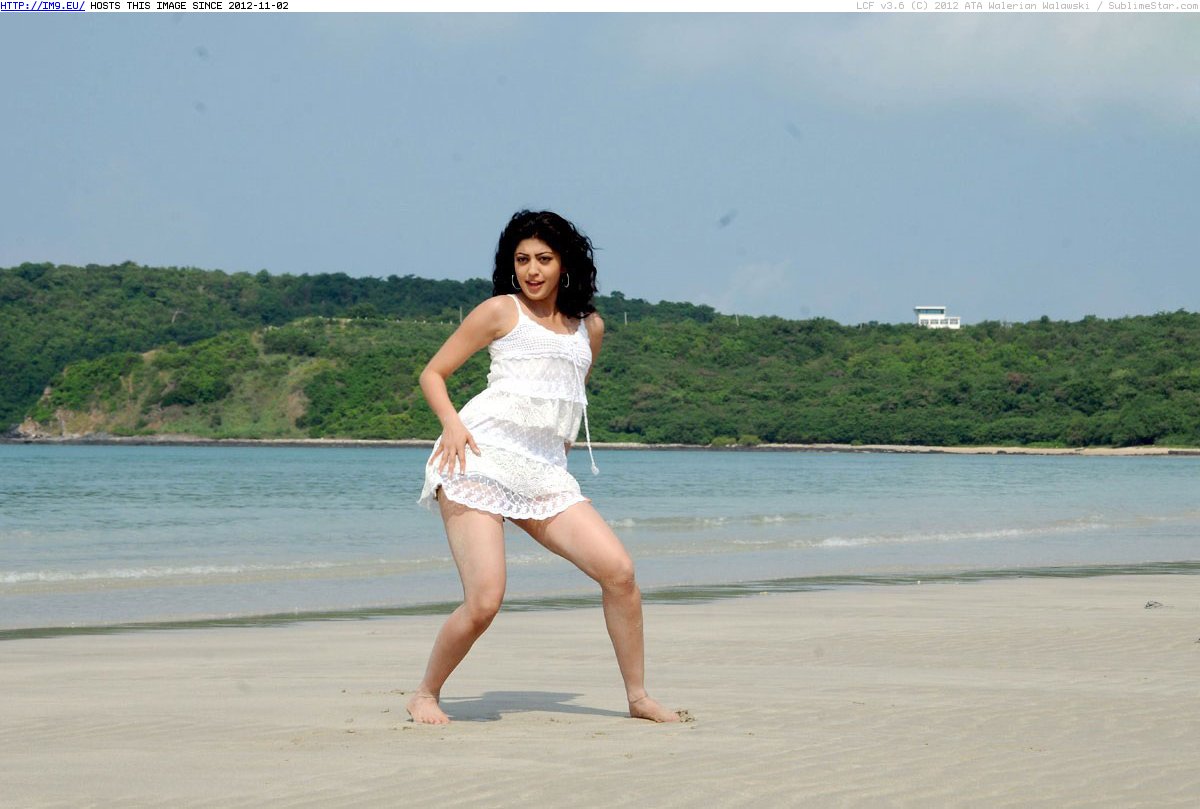 Pranitha-44 (in Pranitha Latest Photos)