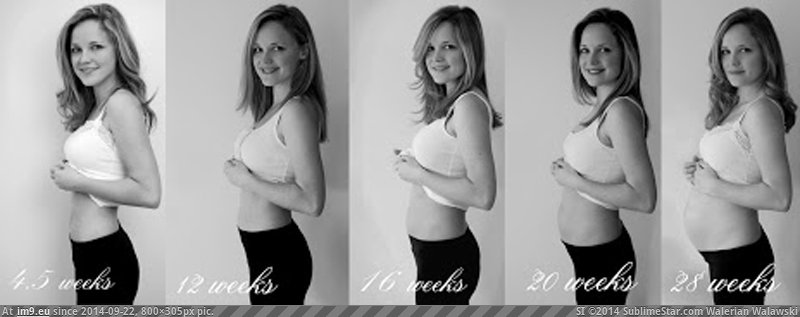 pregnancy weeks reference (in ISReference)