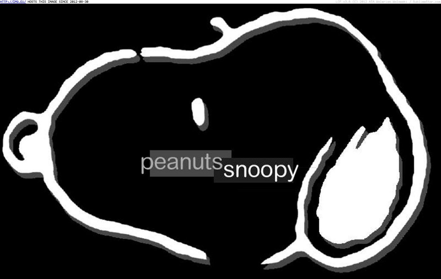 Snoopy (cartoons for kids) (in Cartoon Wallpapers And Pics)
