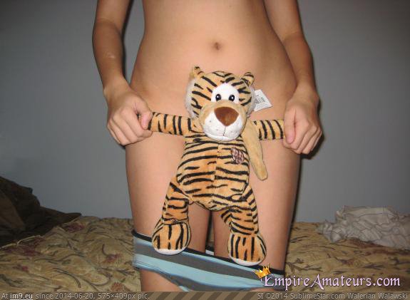 stuffed_animal (in Amateur Teens Naked)