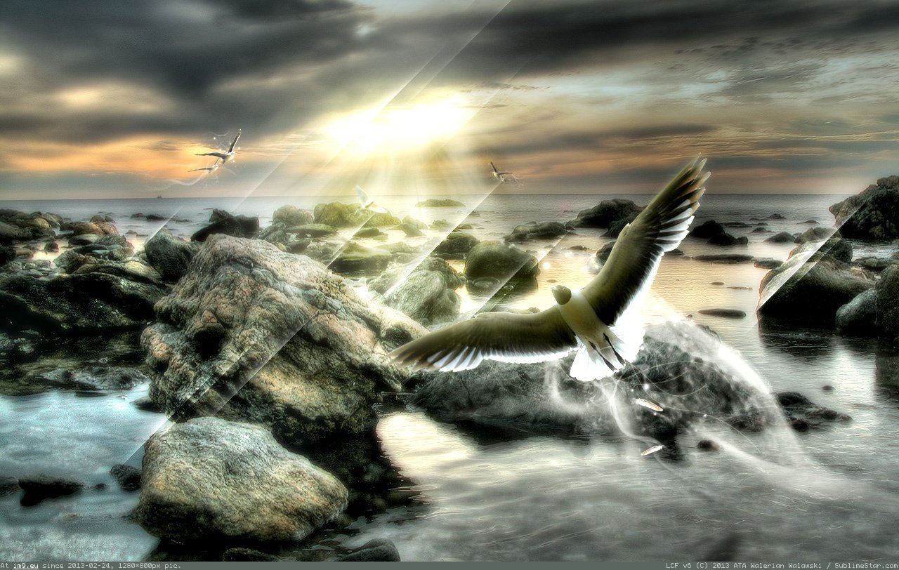 Sunset Dreamer 1280X800 HD wallpaper (in Desktopography Wallpapers - HD wide 3D)