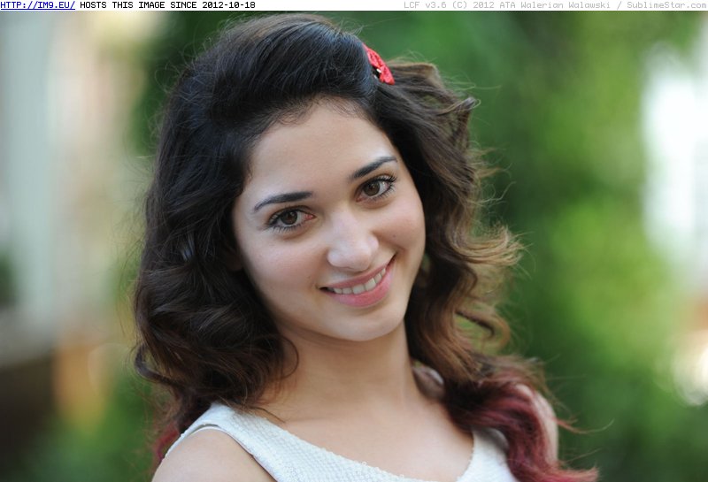 Tamanna Latest Photos Stills Tamanna New Spicy Photoshoot (14) (in Tamanna)