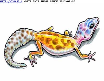 Tattoo Design: 3x4_27 (in Lizard Tattoos)