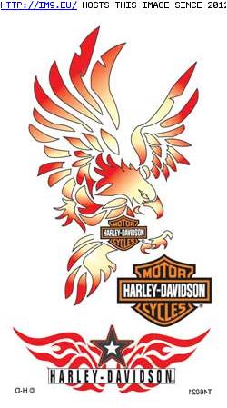 Tattoo Design: 46021 (in Harley Tattoos)