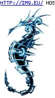 Tattoo Design: aqua_seahorse_smlmed_scale (in Fish Tattoos)