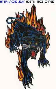 Tattoo Design: BI-5000-flaming-black-panth (in Tiger Tattoos)