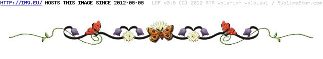 Tattoo Design: butterfly_daisy_band (in Lower Back Tattoos)