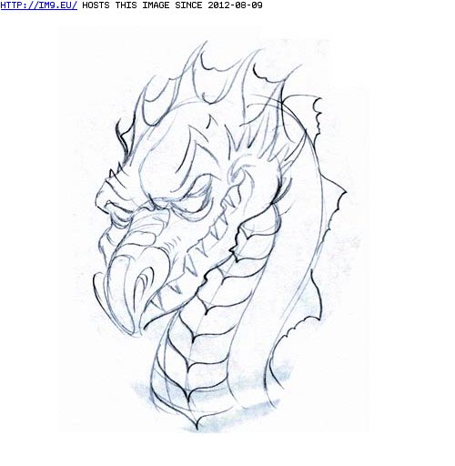 Dragon Head Tattoo Designs