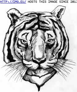 Tattoo Design: freetiger (in Tiger Tattoos)