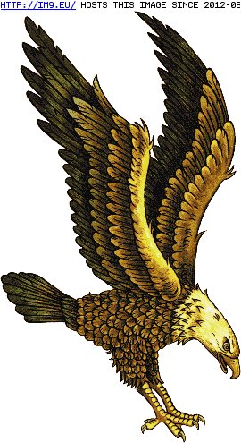 Tattoo Design: g18 (in Eagle Tattoos)