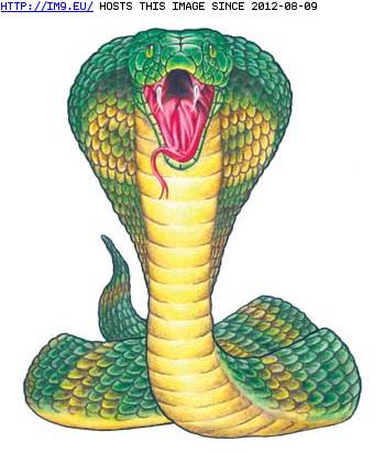 Tattoo Design: lg69 (in Snake Tattoos)