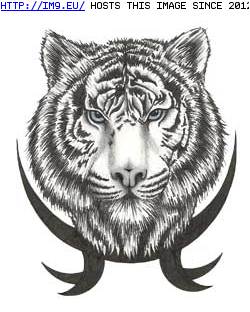 Tattoo Design: med77 (in Tiger Tattoos)