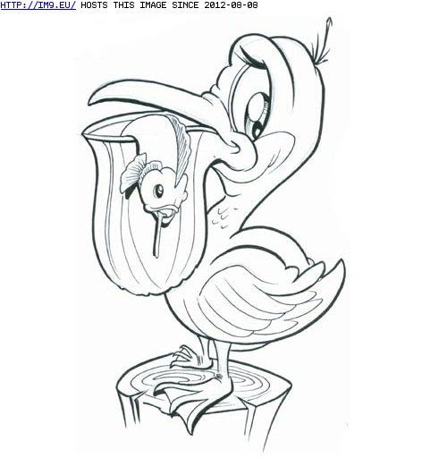 Tattoo Design: pelican (in Misc. Animal Tattoos)