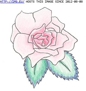 Tattoo Design: rose-tattoo-2 (in Rose Tattoos)
