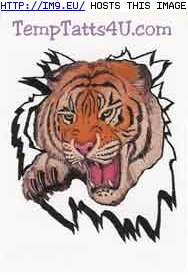 Tattoo Design: snarling-tiger-head (in Tiger Tattoos)