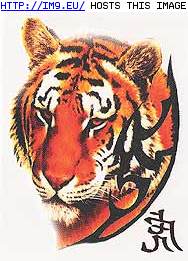 Tattoo Design: SPTP7 (in Tiger Tattoos)