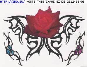 Tattoo Design: SPTP9 (in Rose Tattoos)