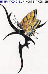 Tattoo Design: SWBF1 (in Butterfly Tattoos)