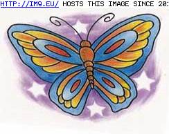 Tattoo Design: SWBF5 (in Butterfly Tattoos)