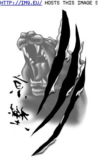 Tattoo Design: tiger-shadow (in Tiger Tattoos)