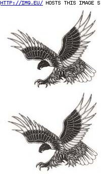 Tattoo Design: two_soaring_eagles_tattoo (in Eagle Tattoos)