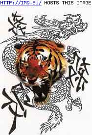 Tattoo Design: VSBT2---tribal-tiger-dragon (in Tiger Tattoos)