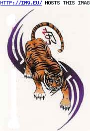 Tattoo Design: VSICD-purple-tribal-tiger (in Tiger Tattoos)
