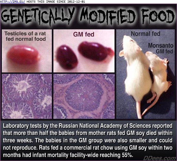 Testes (R)Dees (in Zionist Conspiracy Pics)