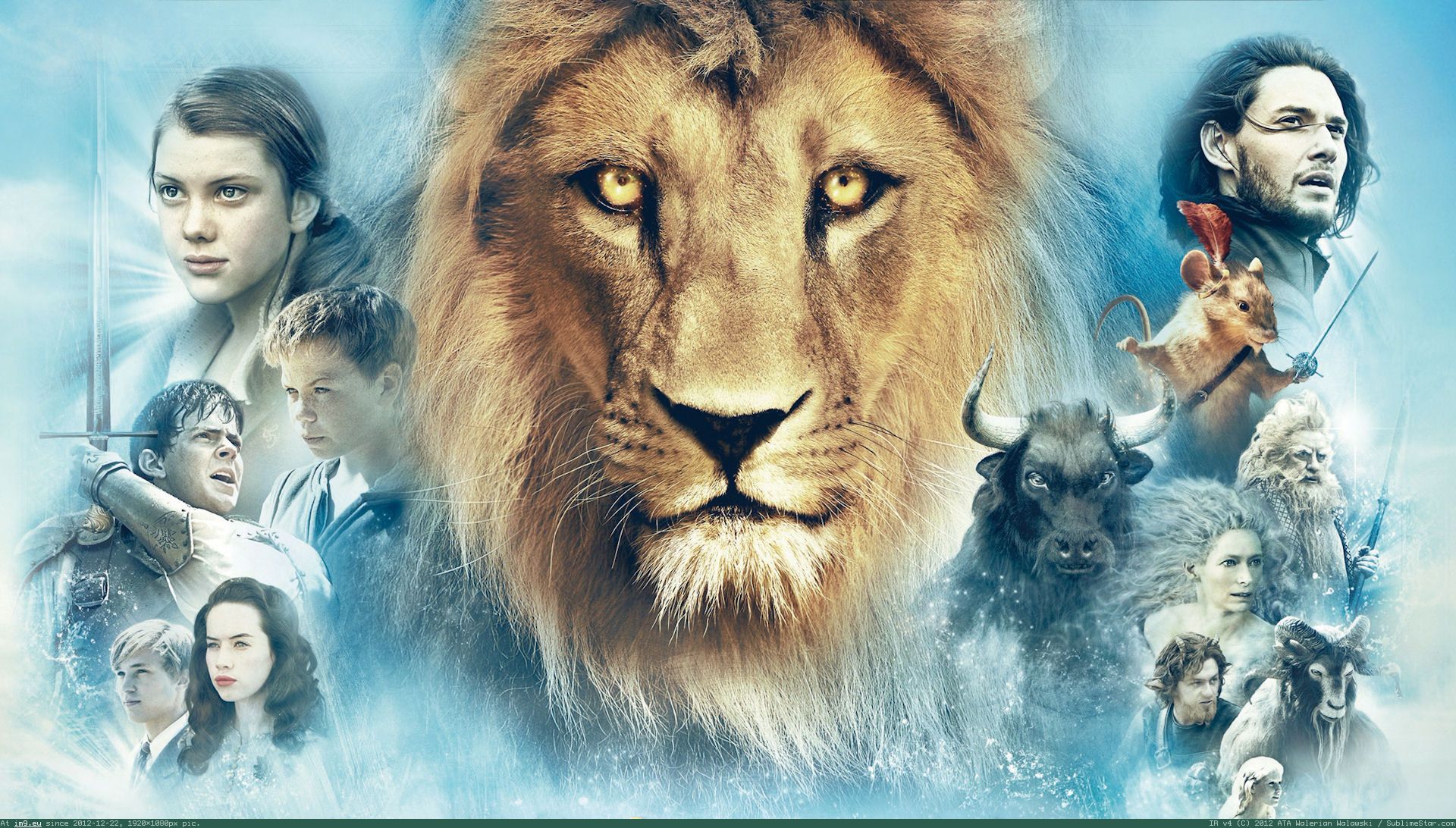 HD wallpaper: Movie, The Chronicles of Narnia: The Lion, the Witch