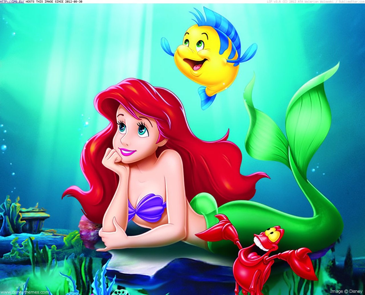 The Little Mermaid 128 X1 24 (cartoons for kids) (in Cartoon Wallpapers And Pics)