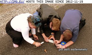 Tourists from Tallinn, in Hiiumaa looked at snail. (in Lemmetu)