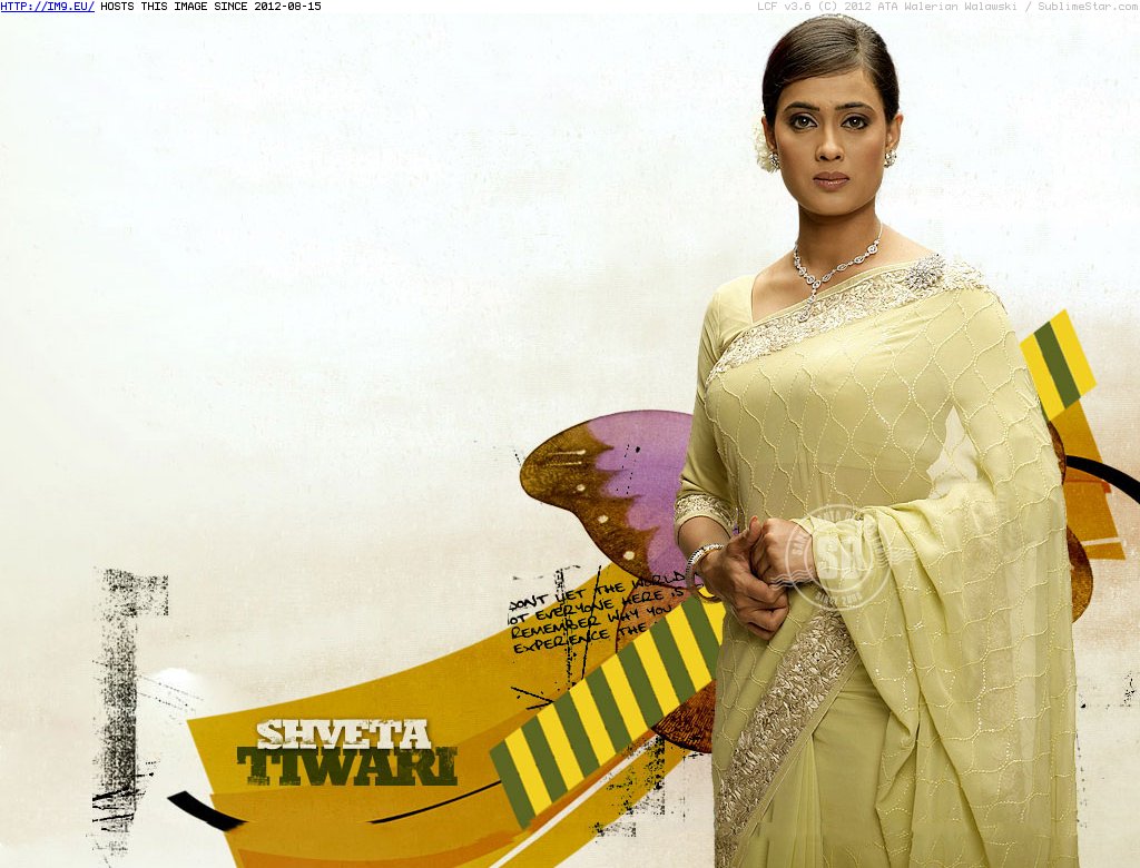 Wallpaper Shweta Tiwari 10 (in Beautiful Shweta Tiwari Photos)