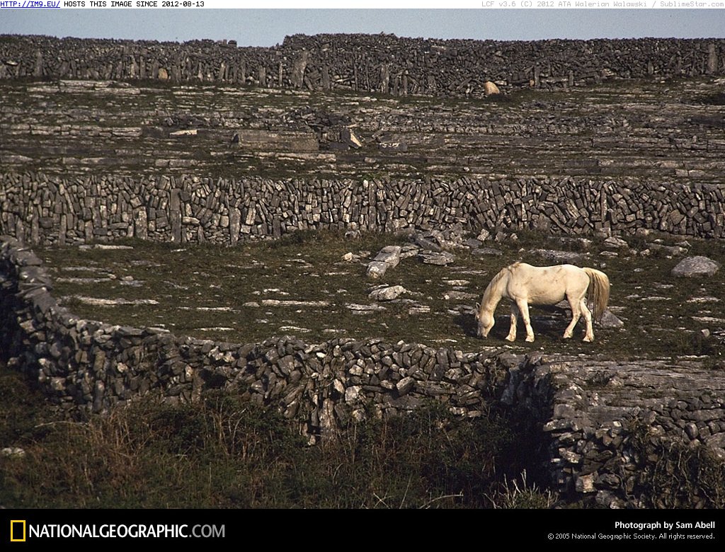 White Horse (in National Geographic Photo Of The Day 2001-2009)