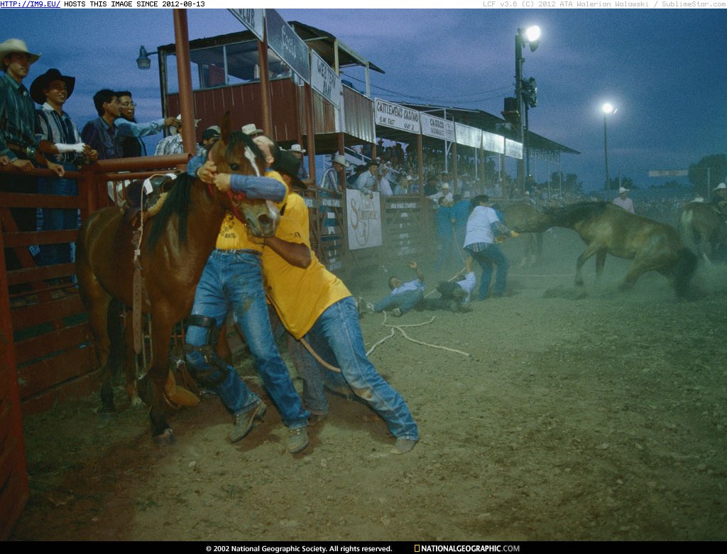 Wild Horse Race (in National Geographic Photo Of The Day 2001-2009)