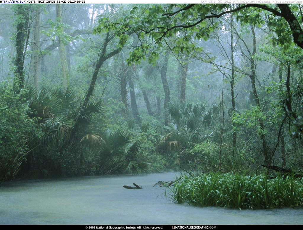 Wilderness (in National Geographic Photo Of The Day 2001-2009)